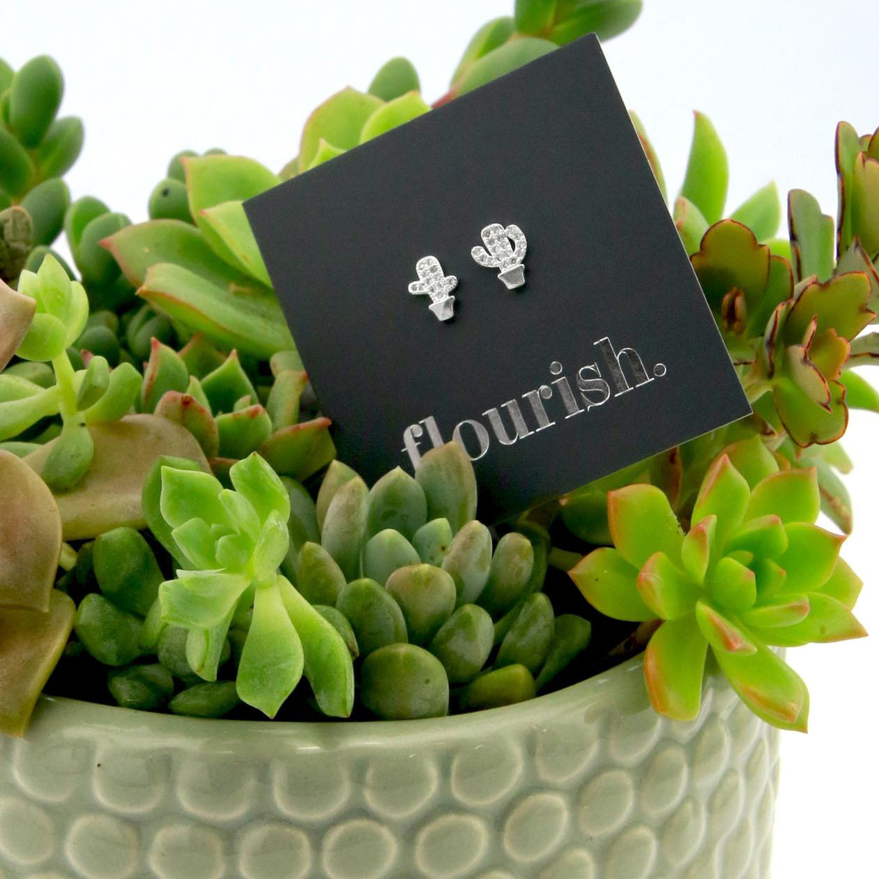 3 Life Lessons from Succulents to Share with Your Girlfriends