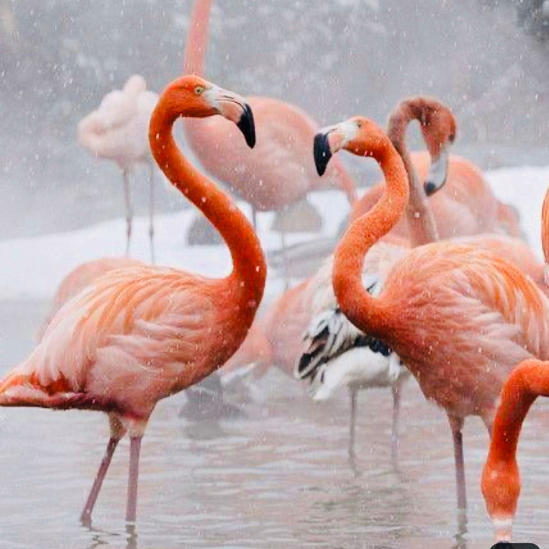 5 tips to mend relationship fractures before the new year