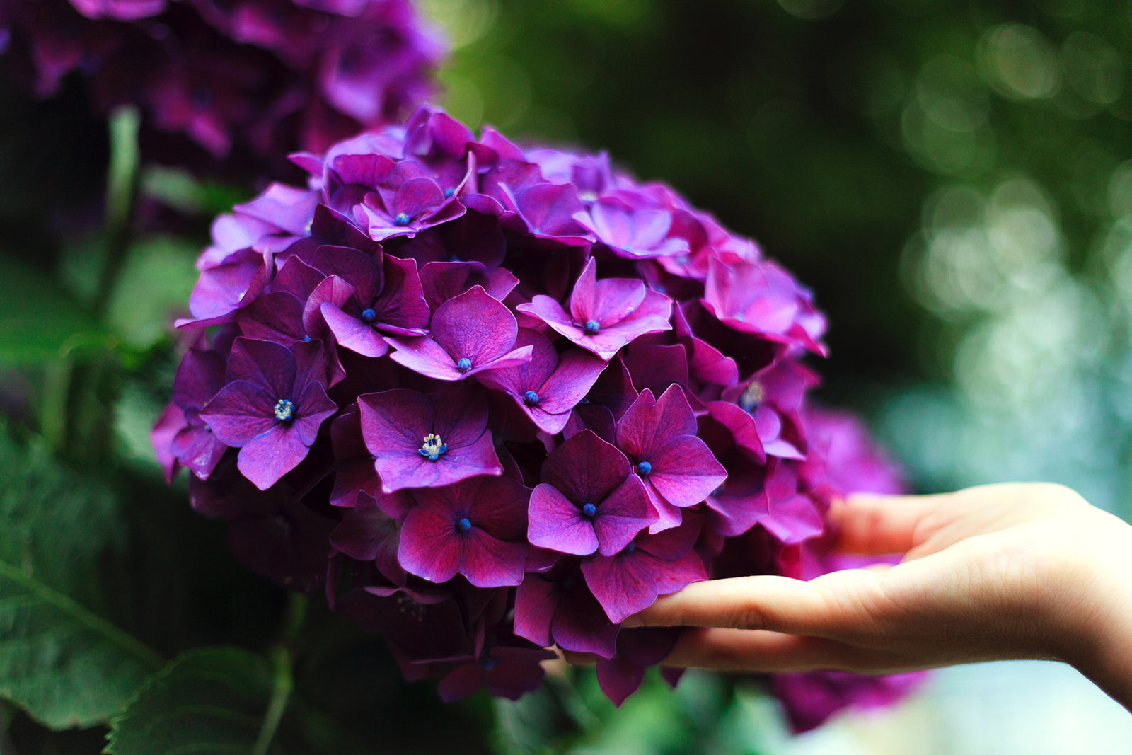 3 Ways To Remain Hopeful In Uncertain Times.