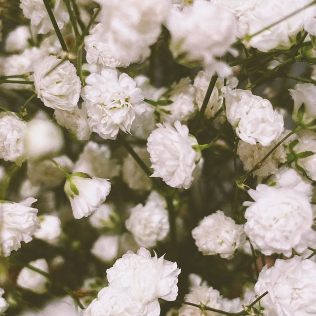 Our New Floral Jewellery Collection 'Heart and Soul Florals' is here!