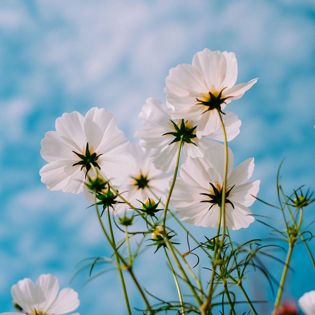 6 Jewellery Pieces in Celebration of Spring