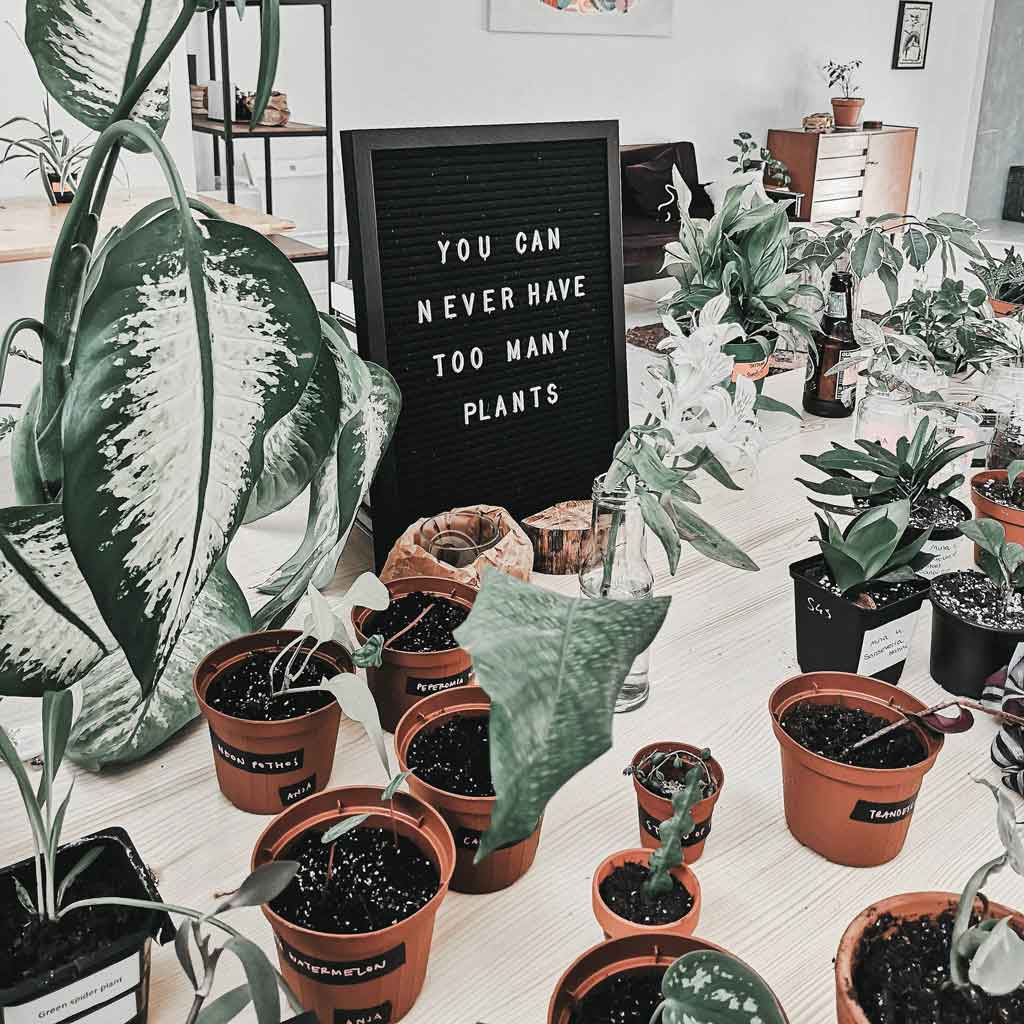 8 unique gifts perfect for plant parents