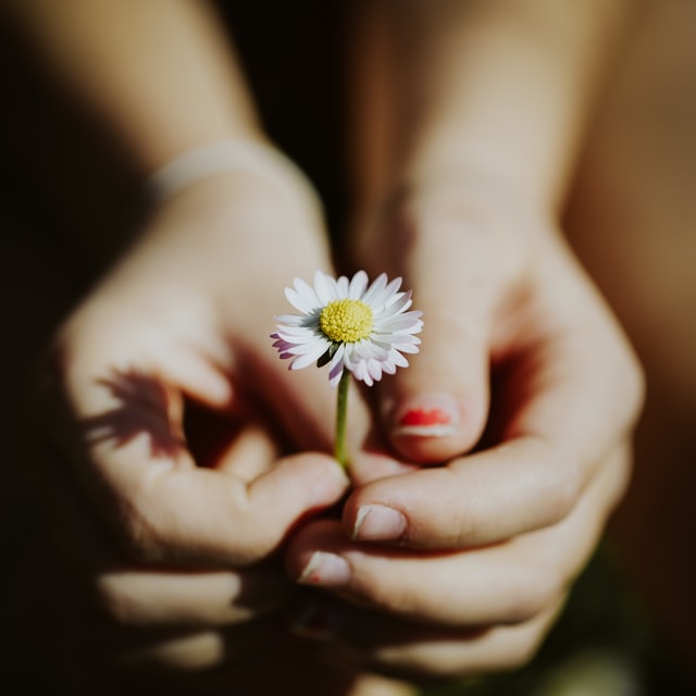 6 beautiful quotes about thankfulness to warm your heart