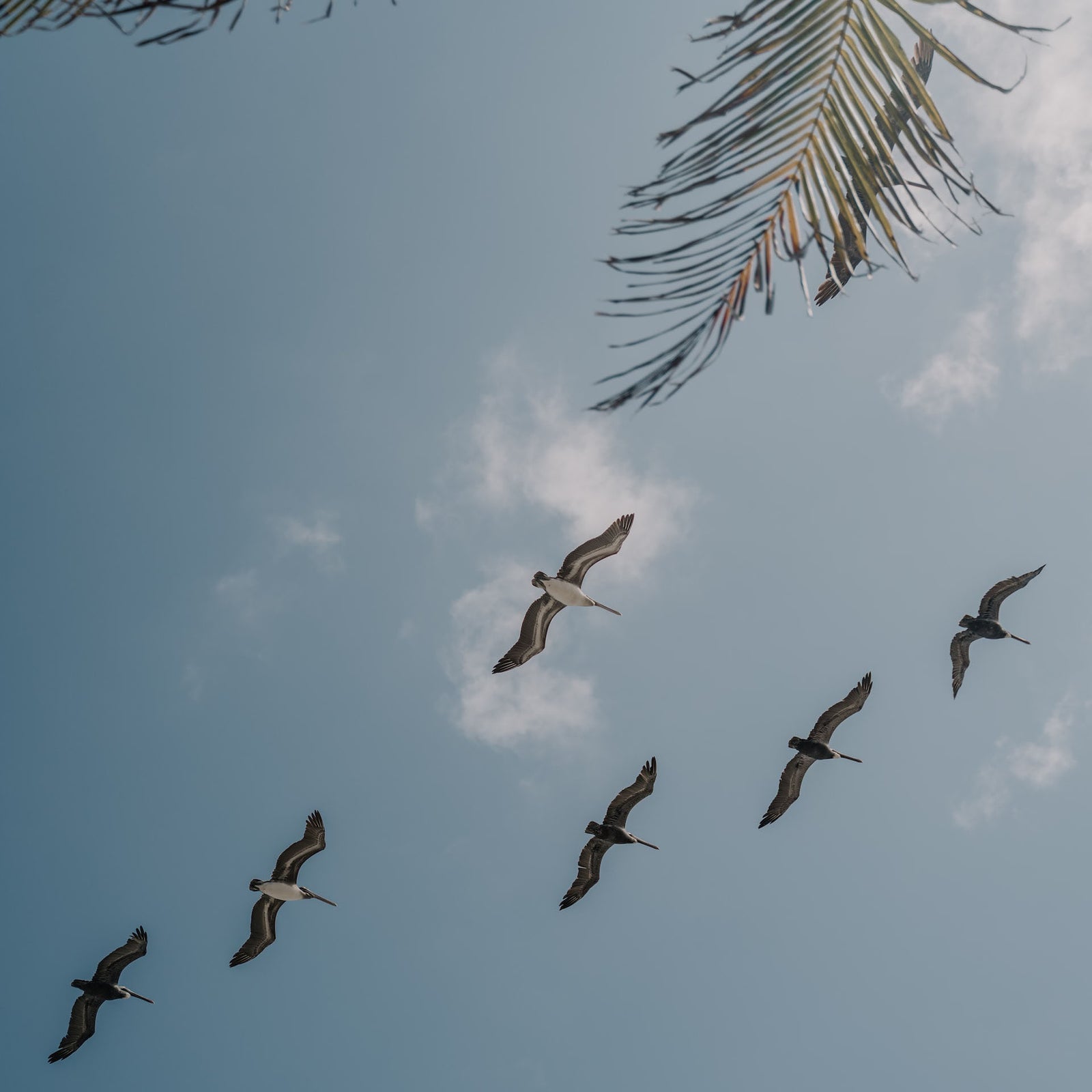 3 Ways to Prepare for a Change of Season