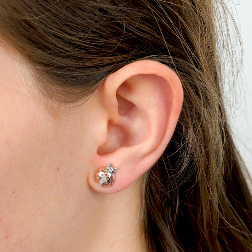 Bold Beetle - Sterling Silver Studs With Rose Gold - You Are Lovely (12863)