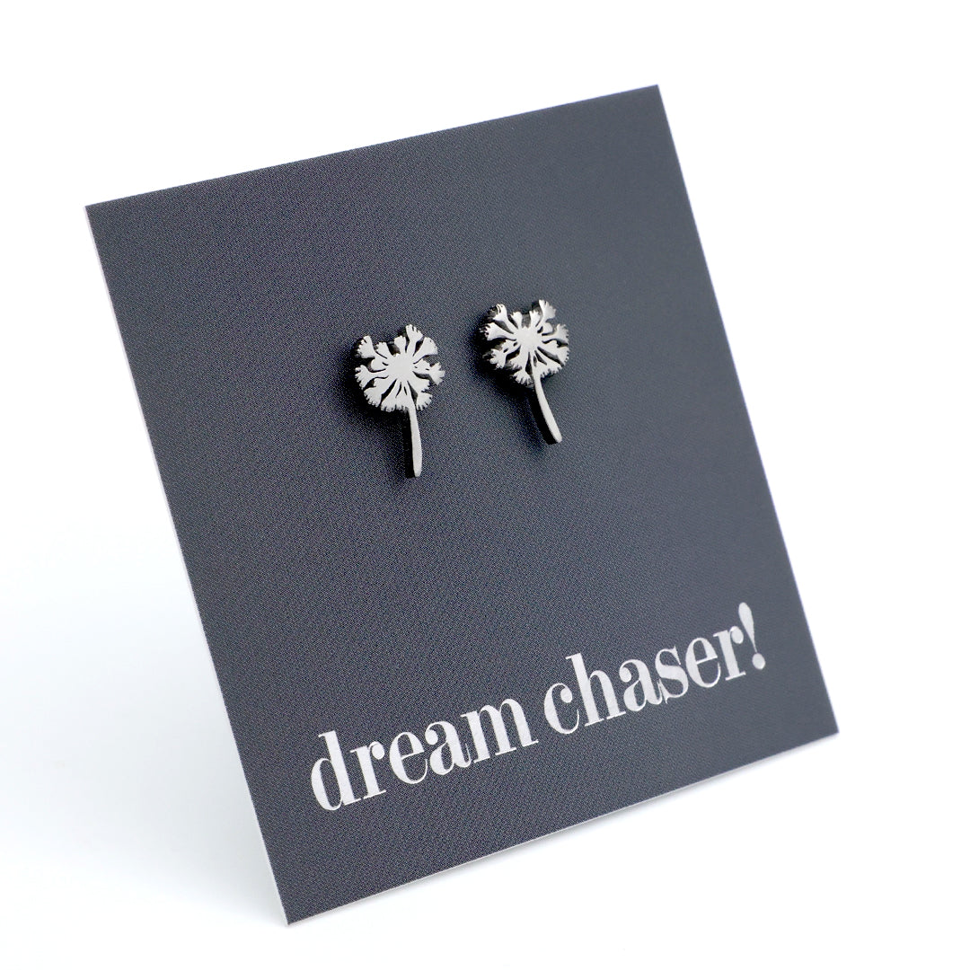 Silver earrings on a 'dream chaser!' card