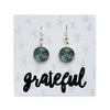 TEAL COLLECTION - Grateful - Bright Silver Dangle Earrings - Cirque (12441)