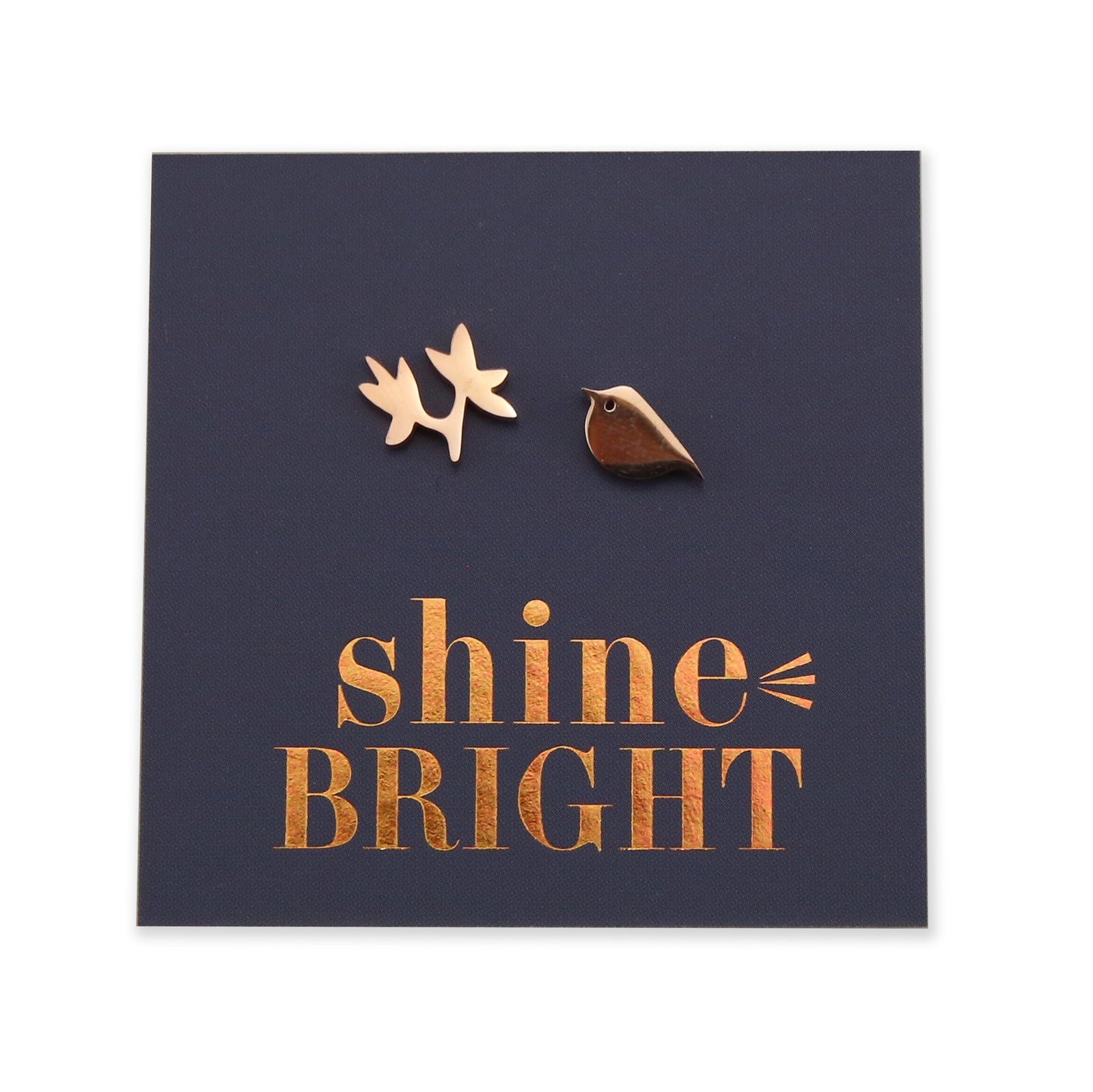 Stainless Steel Earring Studs - Shine Bright - BIRD & BRANCH