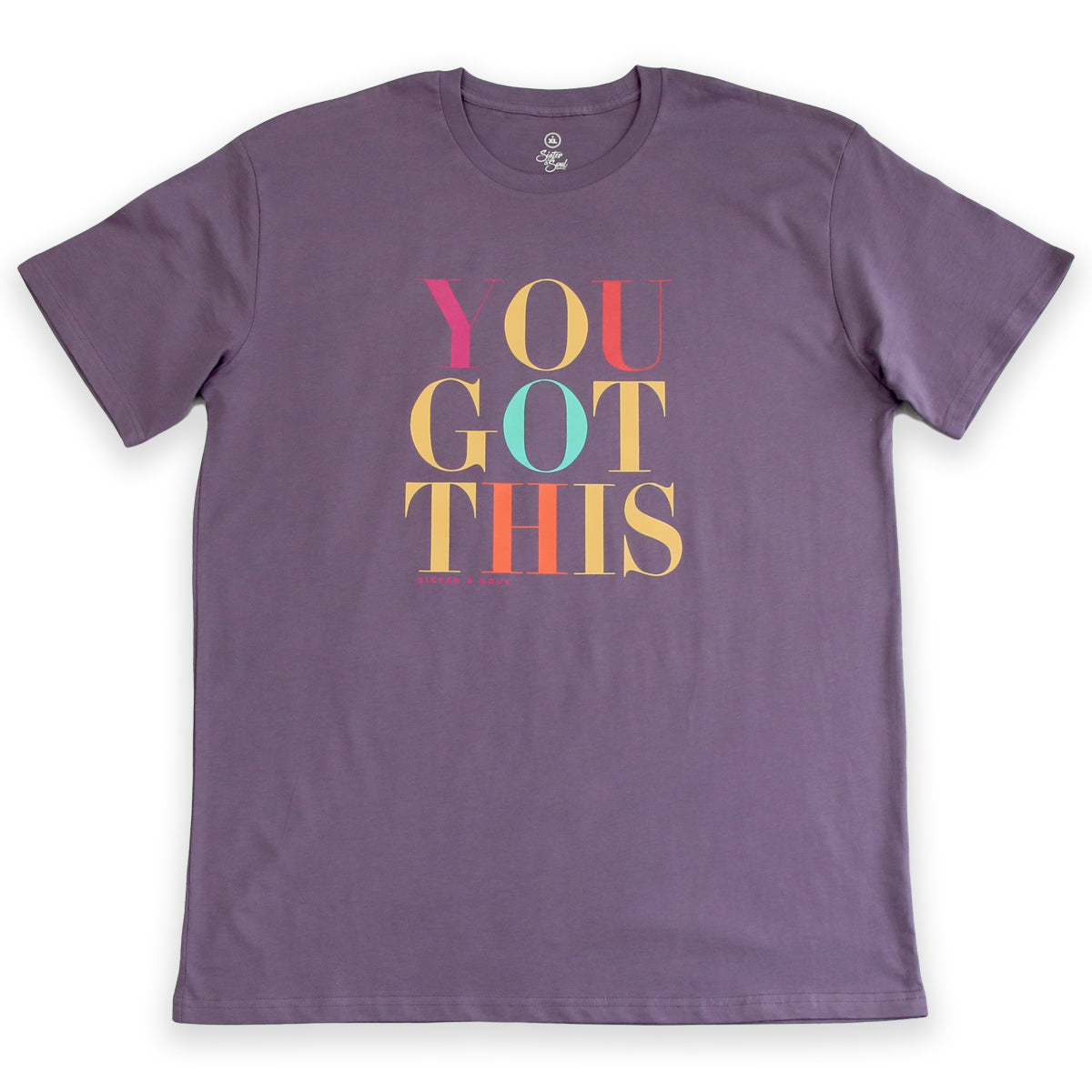 YOU GOT THIS - Plus Size Long Boxy Tee - Oversized - Dusty Purple with Colourful Print